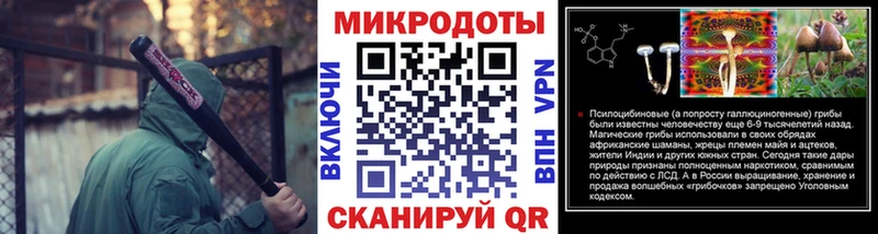 Купить где  Городовиковск  Галлюциногенные грибы Psilocybine cubensis 